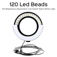 26cm LED Ring Light with Phone Holder & Tripod – 3 Color Modes Selfie Light for YouTube, TikTok & Photography